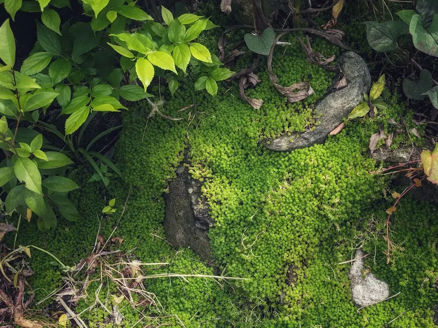 20220514_1