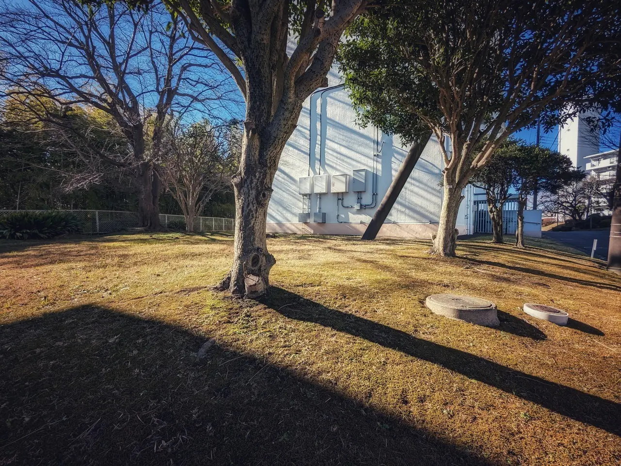 20221229_1