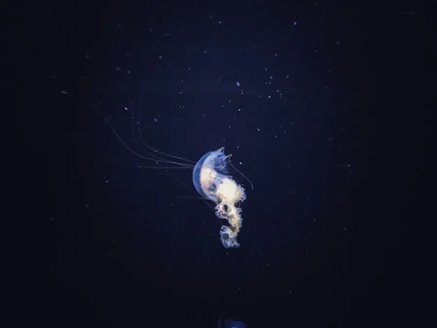 20230814