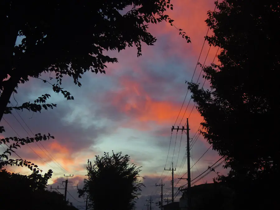 20230901