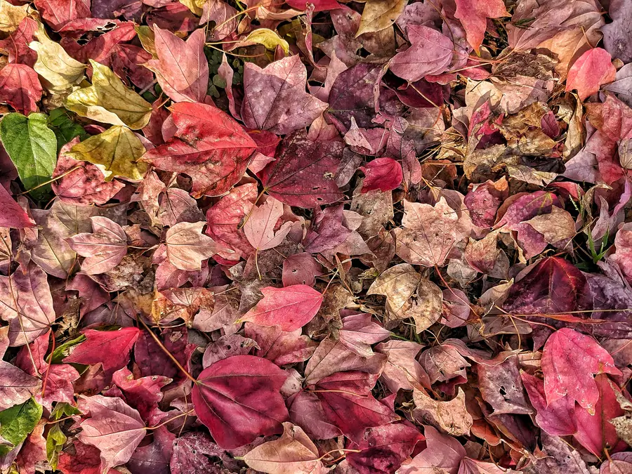 20231104