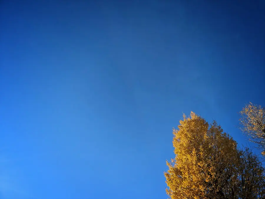 20231203