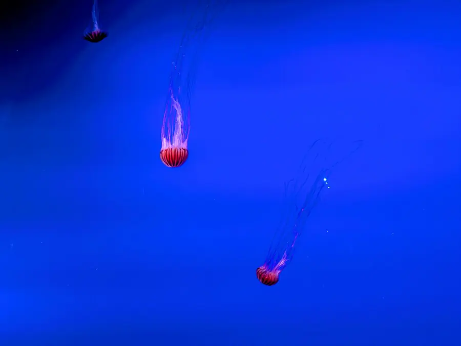 20260330_3